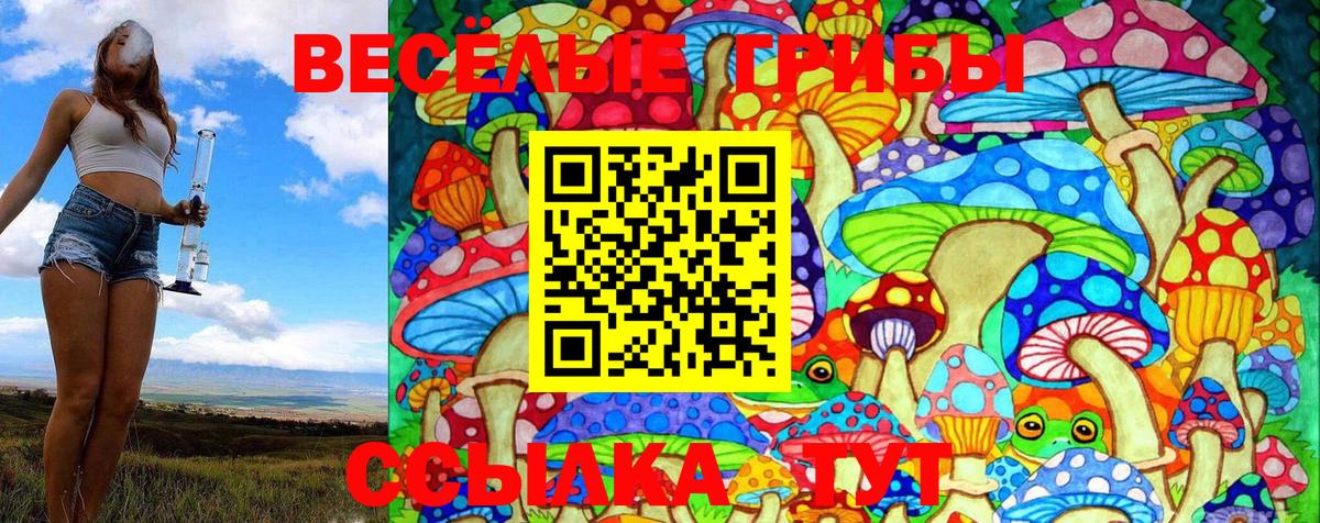 Унеча  Галлюциногенные грибы MAGIC MUSHROOMS  Вход с VPN 